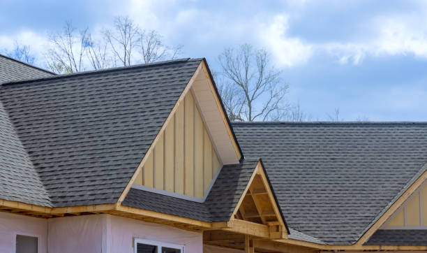 Best Roof Coating and Sealing  in Philmont, NY